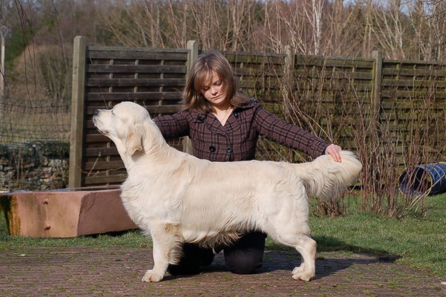 seven's dream Design to be perfect